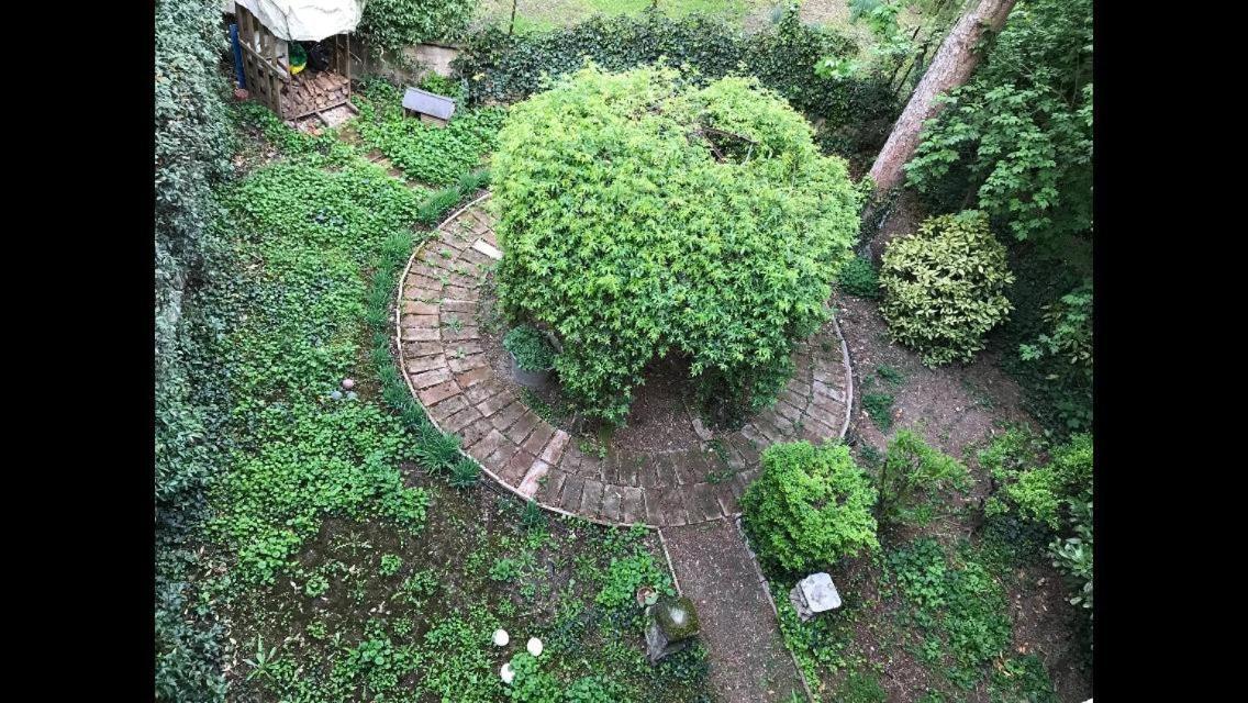 Apartamento Casa Luminosa Con Giardino In Centro Storico Reggio Emilia Exterior foto